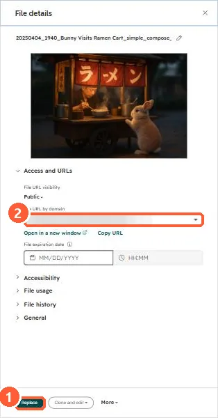 File details panel with the file URL and Replace button