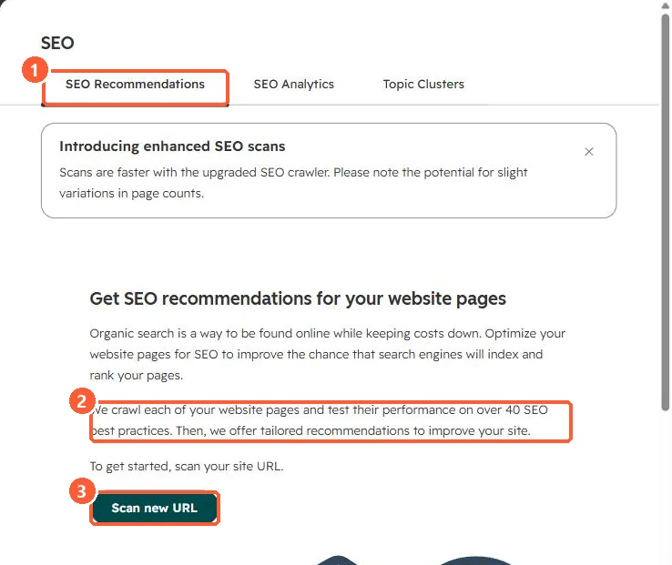 SEO Recommendations tab with Scan new URL and a note about over 40 SEO best practices