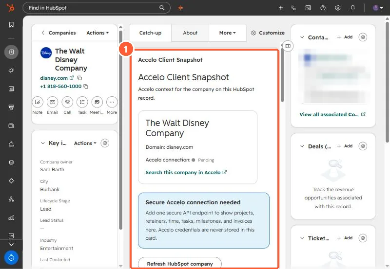 A custom Client Snapshot app card on a company record in the demo portal